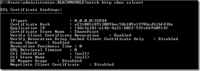 Output from netsh http show sslcert